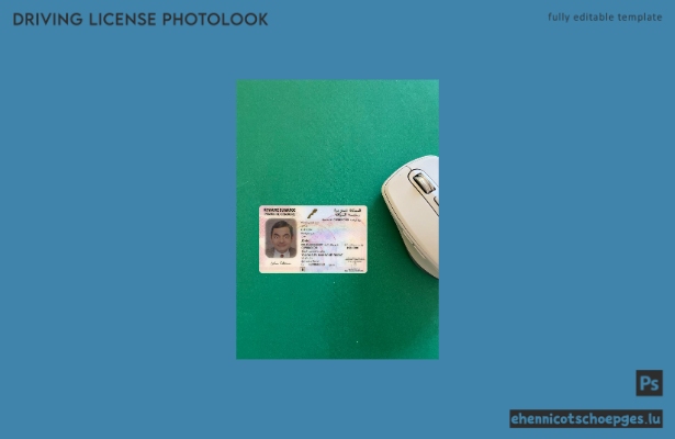 Beispielvorschau für das Foto des marokkanischen Führerscheins